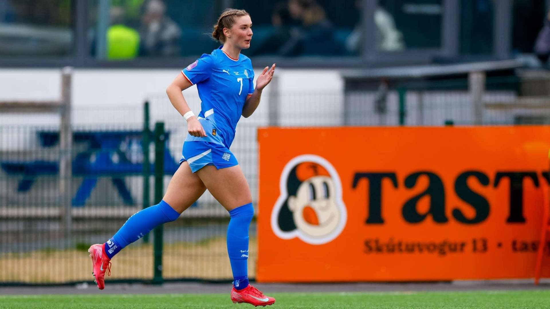 Dreierpack für Vilhjalmsdottir