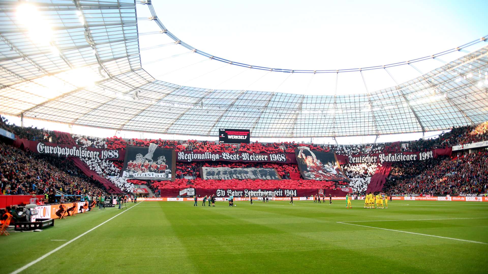 © Bayer 04 Leverkusen Fussball GmbH