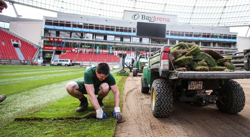 Ein Mitarbeiter von TecArena-Plus verlegt Rasen in der BayArena