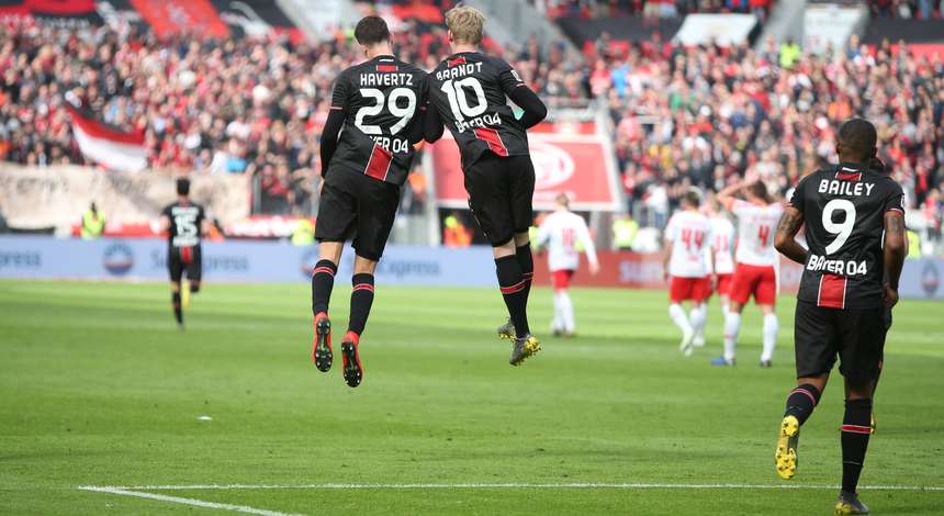 crop_Havertz_Brandt.jpg