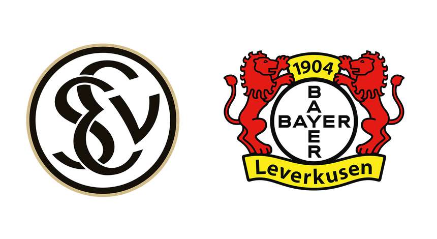 crop_SV_07_Elversberg_Bayer04_RGB_2223.jpg